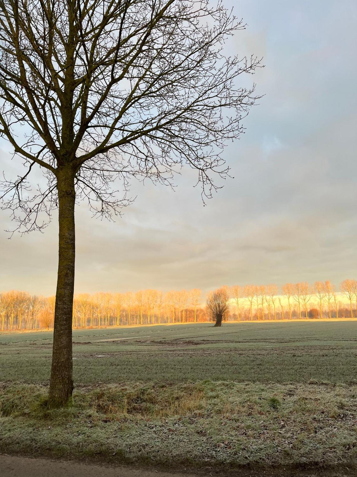 Bed and Breakfast De Weide Wereld Beernem Exterior foto