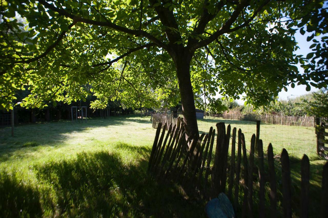 Bed and Breakfast De Weide Wereld Beernem Exterior foto